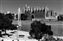 IMG_1912-1sh.JPG